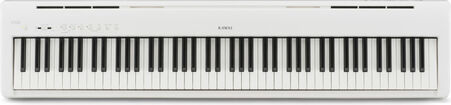 DIGITAL PIANO ES110W